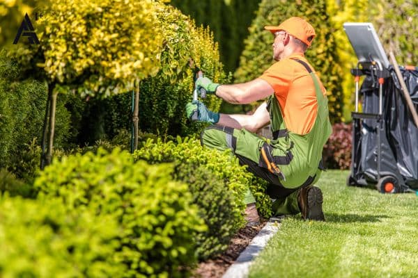 Landscaper Implementation